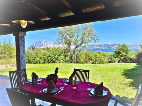 CAPO CODA CAVALLO VILLA SALINEDDA GIARDINO VISTA MARE